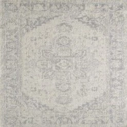 Capricorn Gray/Dark Gray 3 ft. x 5 ft. Oriental Area Rug by Eviva